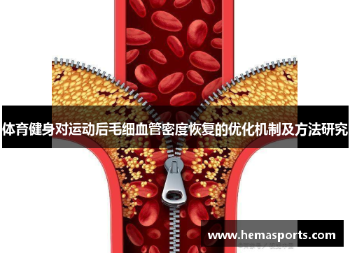体育健身对运动后毛细血管密度恢复的优化机制及方法研究